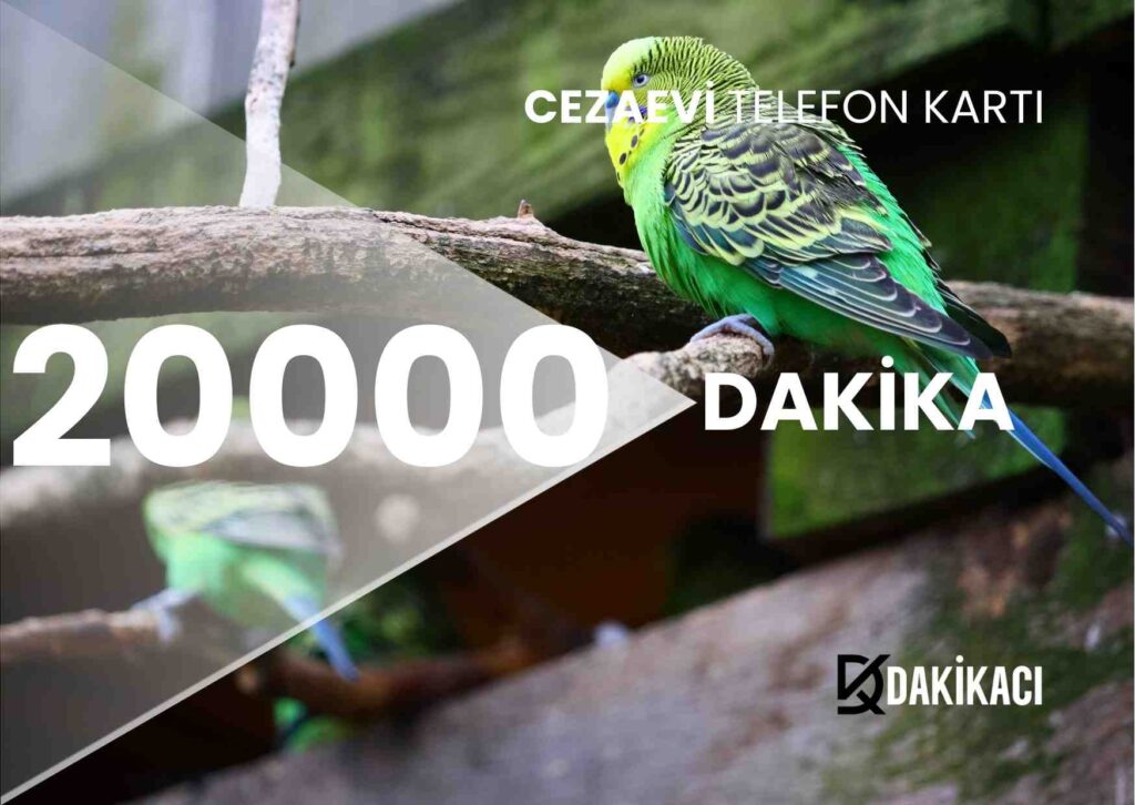 cezaevi-20000-kontor-yukleme