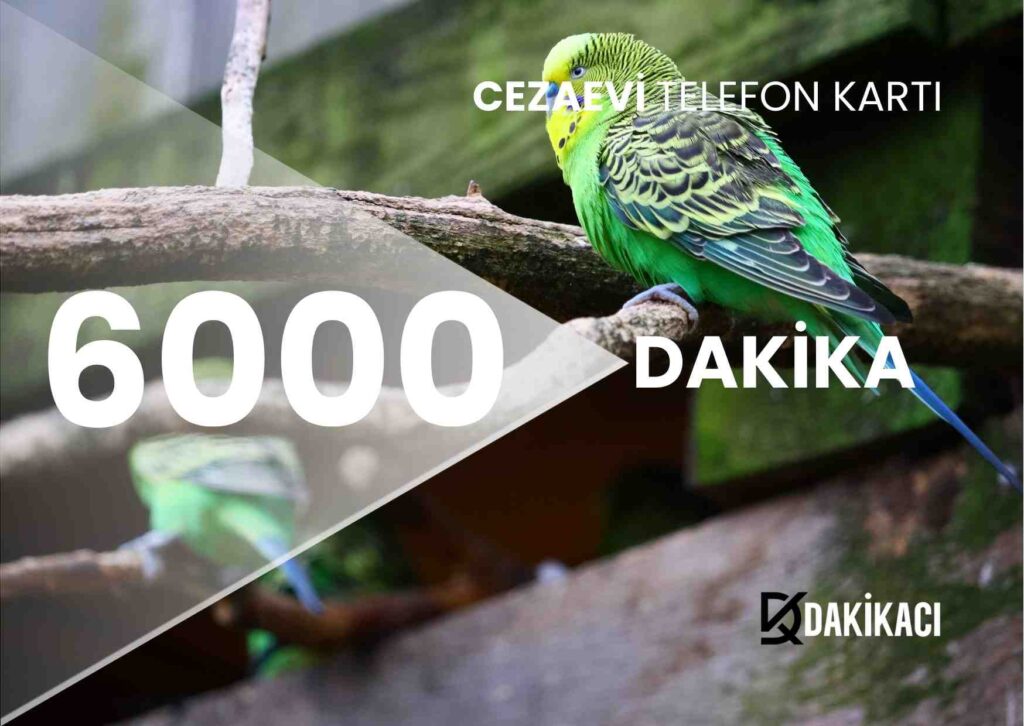 cezaevi-6000-kontor-yukleme
