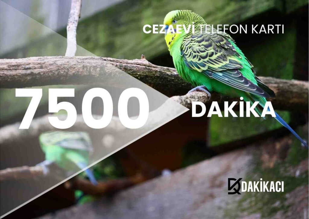 cezaevi-7500-kontor-yukleme